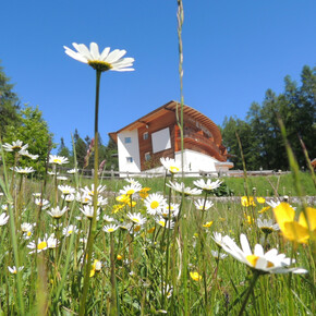 Val di Non - ristorante Il Falchetto