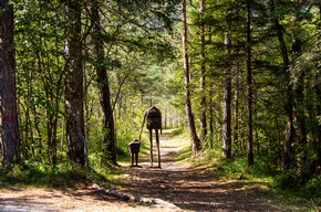 Valle di Ledro - Pur - Ledro Land Art