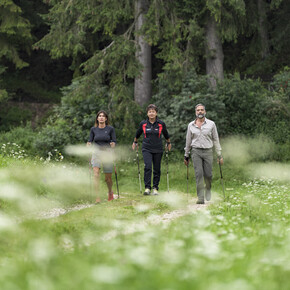 De filosofie van nordic walking