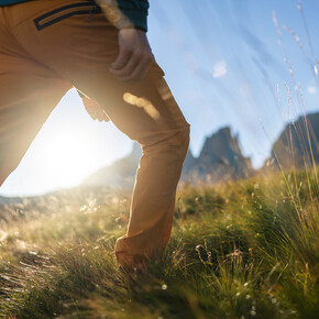 Wandelingen in de bergen van Trentino