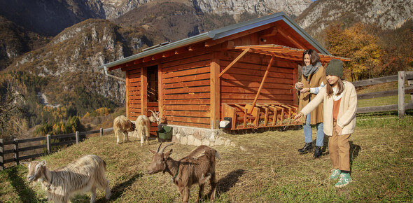 Agroturistika Trentino