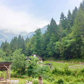 Azienda agricola Latte Ledro