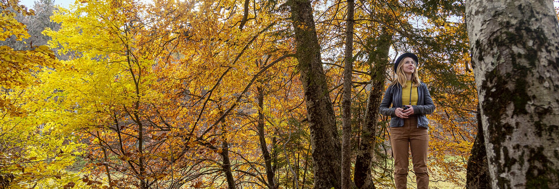 Rovereto, Vallagarina, Altopiano di Brentonico 