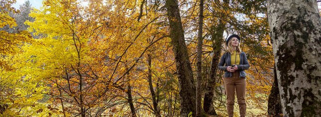 Rovereto, Vallagarina, Altopiano di Brentonico 