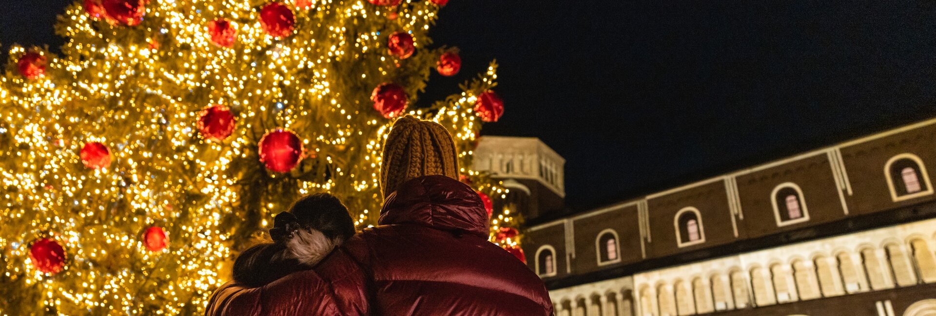 Valle dell'Adige - Trento - Piazza Duomo - Mercatini di Natale - Albero illuminato | © Marco Gober