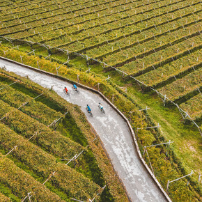 Dolomiti Paganella - Piana Rotaliana - Gravel - Bike - Cicloturismo in mezzo ai vigneti | © Mathäus Gartner