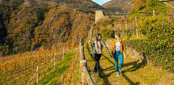 Wine Trekking Gourmet