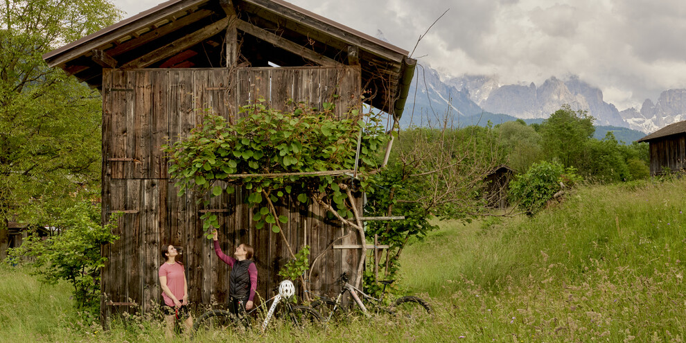 The Antique Fruit Road