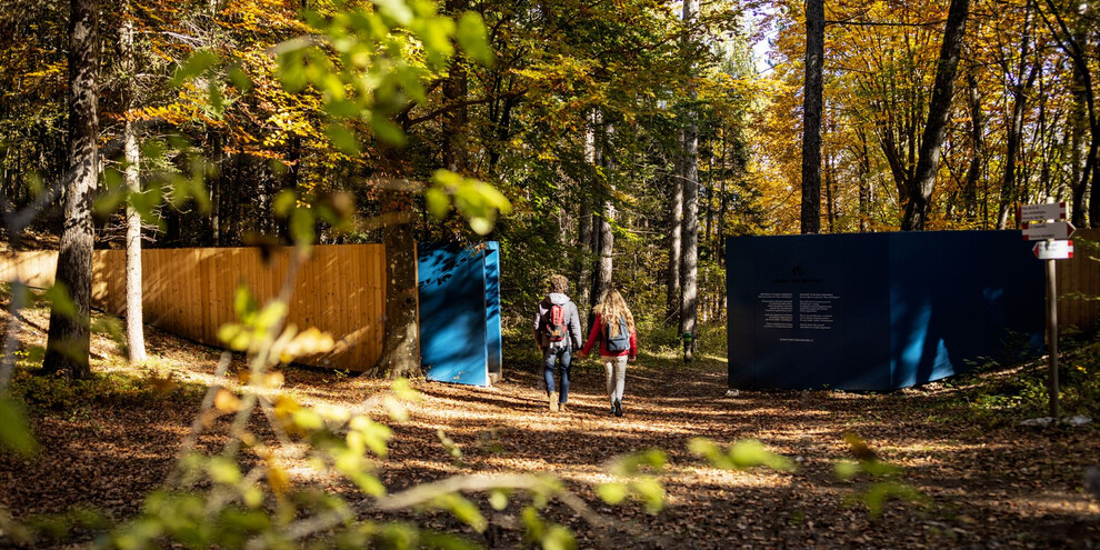 Erholung im Wald