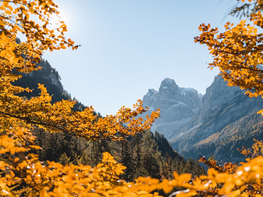 Madonna di Campiglio, Pinzolo und Val Rendena