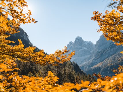 Madonna di Campiglio, Pinzolo a Val Rendena 