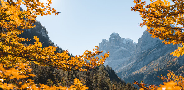 Madonna di Campiglio, Pinzolo and Val Rendena 