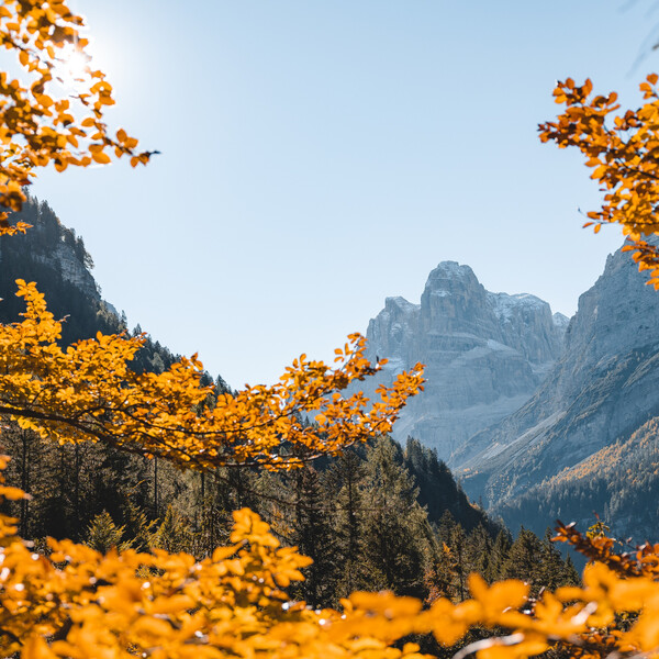 Madonna di Campiglio, Pinzolo e Val Rendena 