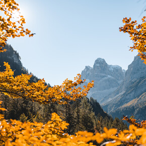 Madonna di Campiglio, Pinzolo and Val Rendena 