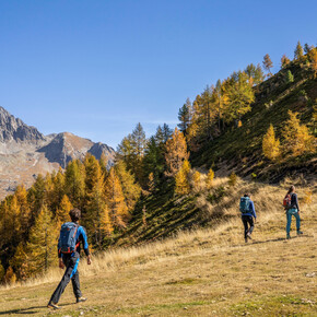 Hiking