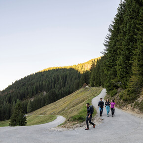 Leichte Wanderungen 