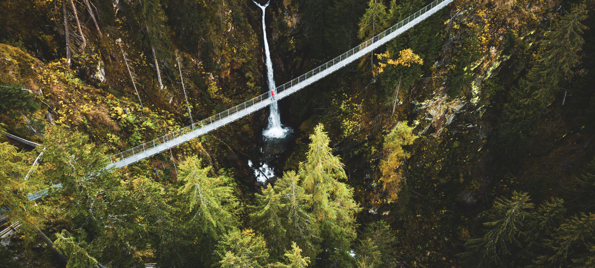 Ponte sospeso in Val di Rabbi. Nell’immagine, il lungo ponte tibetano è ripreso dall’alto. Sotto svettano i larici e sullo sfondo una cascata si tuffa tra le rocce e gli alberi. Una persona sta attraversando il ponte, la si nota per la sua giacca rossa che spicca tra i colori più tenui della natura che la circondano.