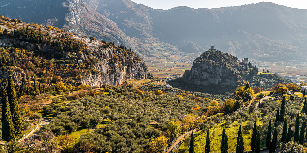 How about a ride on a mountain bike?