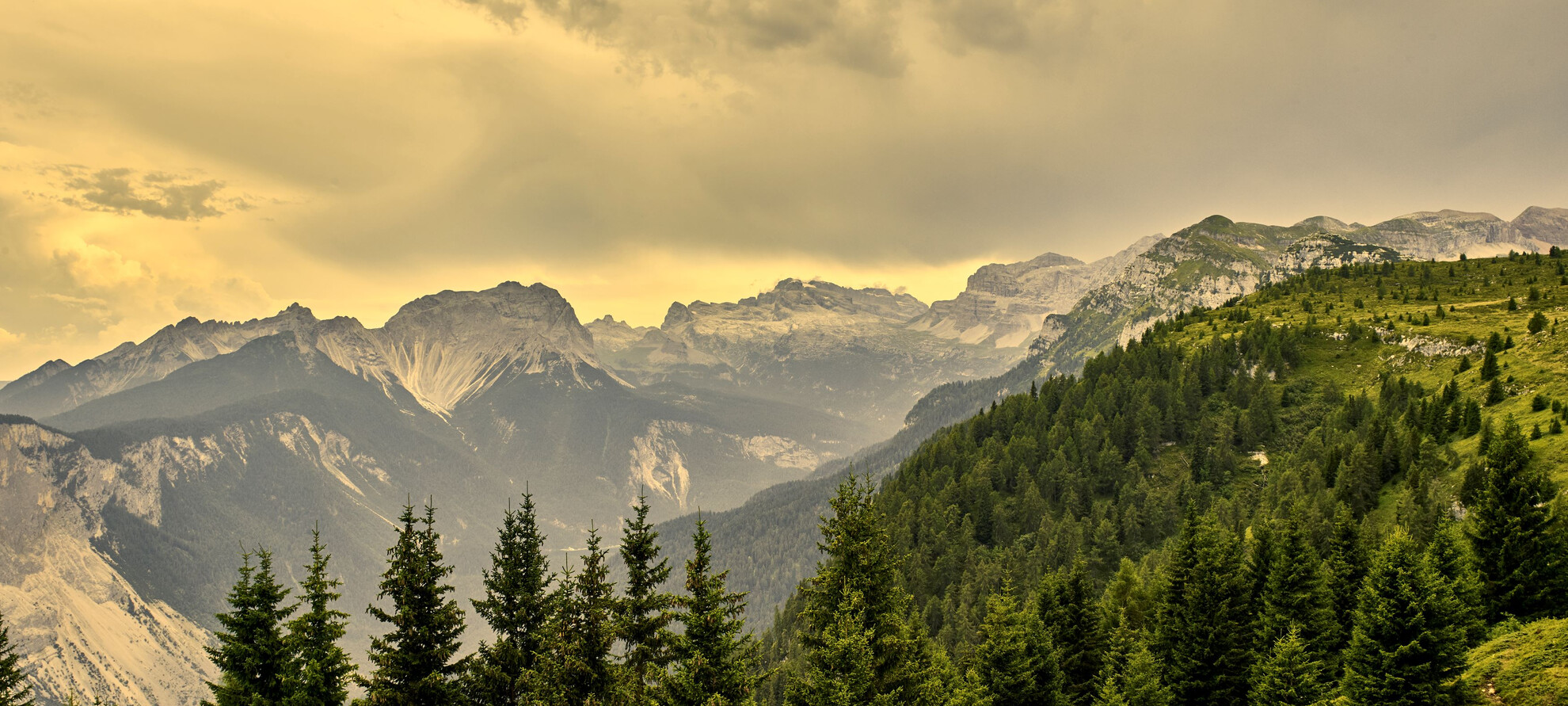 Scorcio della Val di Non. In primo piano, un bosco di abeti. Sullo sfondo, le cime rocciose. La luce è calda e tinge di giallo sia le vette in lontananza sia il cielo carico di nuvole.  