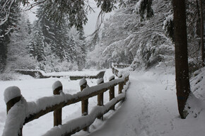 Sentiero Naturalistico Val Concei 