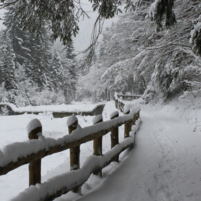 Sentiero Naturalistico Val Concei 