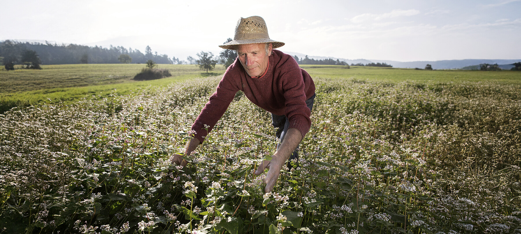 Agricoltura di montagna 