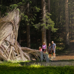 Alpe Cimbra - Lavarone - Parco, Sentiero Il Respiro degli Alberi