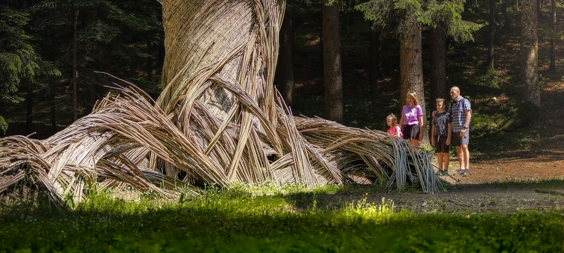 Alpe Cimbra - Lavarone - Parco, Sentiero Il Respiro degli Alberi