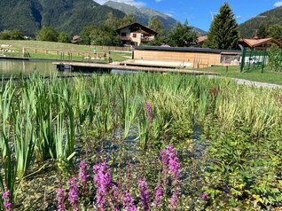 Biolago di Pinzolo - ph. APT Madonna di Campiglio Pinzolo Val Rendena | © ph. APT Madonna di Campiglio Pinzolo Val Rendena