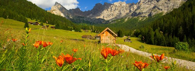 Reservatnetz - Val di Fassa | © Archivio Immagini ApT Val di Fassa - Foto di Nicola Angeli