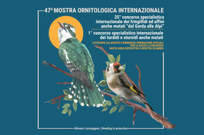 47° Mostra Ornitologica Internazionale Trentina