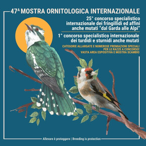 47° Mostra Ornitologica Internazionale Trentina