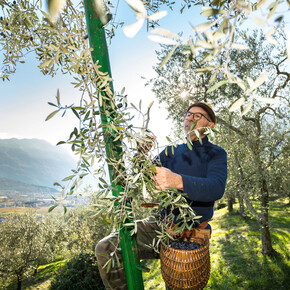 Sapori d'autunno