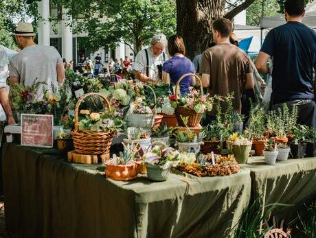 Mercato settimanale Pieve di Ledro