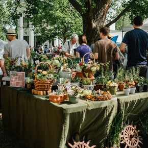 Mercato settimanale Pieve di Ledro