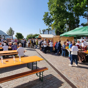 Pesce in Piazza