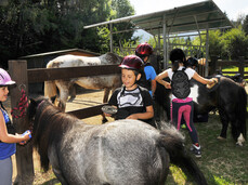 A cavallo sui laghi pinetani