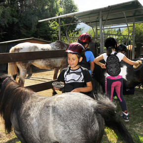 Horseback riding on Piné Plateau lakes