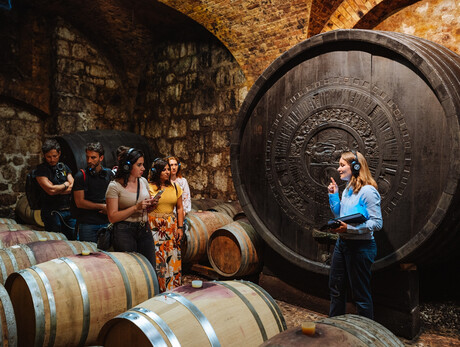 Discovering the dragon's blood - Donati Marco Winery