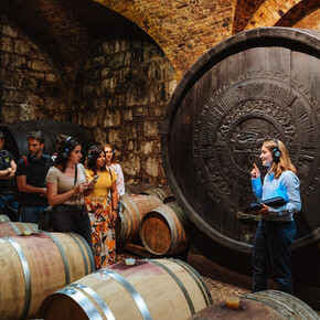 Discovering the dragon's blood - Donati Marco Winery