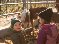 Breakfast on the farm