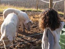 Breakfast on the farm