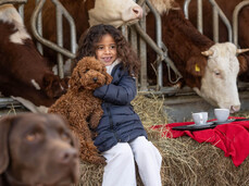 Breakfast on the farm