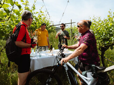 E-bike Tour tra Masi e Vigneti