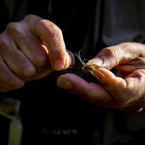 Esperienza di pesca in Trentino con Trentino Fishing Guides