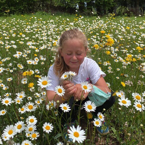 Il grande gioco delle erbe e dei fiori