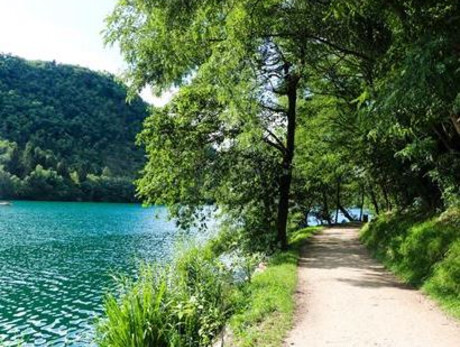 Discovering flowers on the Levico lakeshore