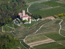 Panorama and taste in the castle: guided tour of Castel Valer and tasting