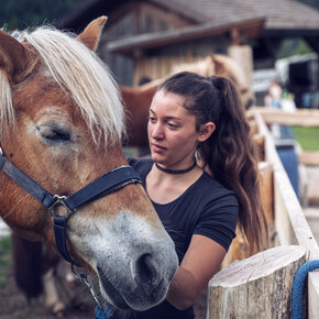 Horseback riding, Fiera di Primiero