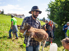 Passeggiata con le caprette